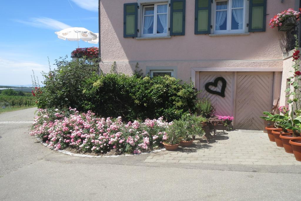 Gästehaus Frohe Aussicht Kressbronn am Bodensee Exterior foto